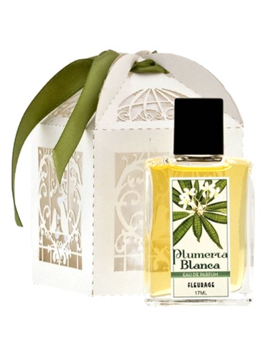 Plumeria Blanca
