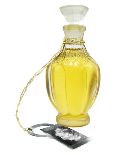 Narcisse Dark