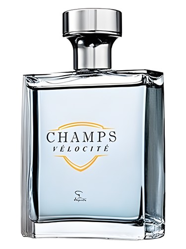 Champs Velocite
