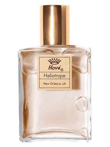 Heliotrope