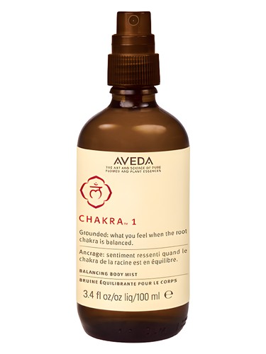 Chakra 1 Motivation