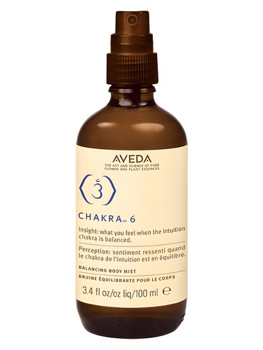 Chakra 6 Intuition