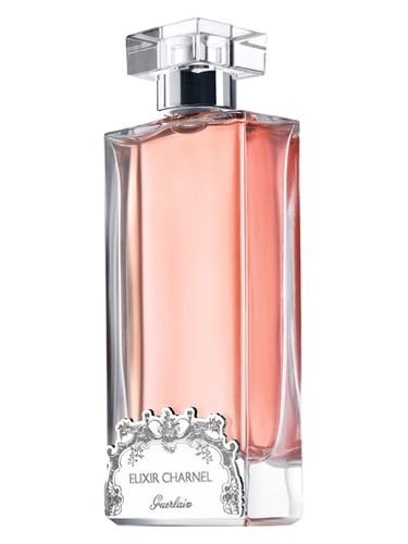 Elixir Charnel Gourmand Coquin
