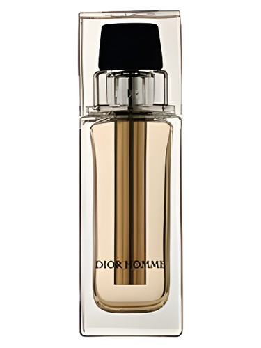 Dior Homme Voyage