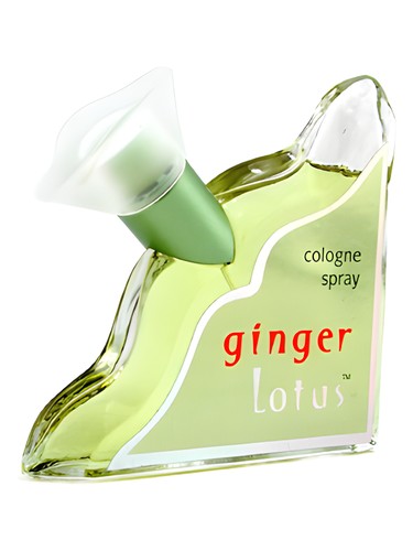 Ginger Lotus