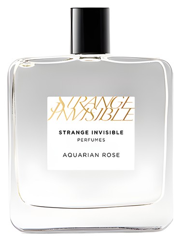 Aquarian Rose