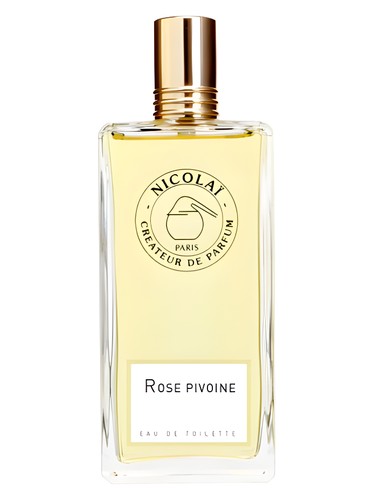 Rose Pivoine