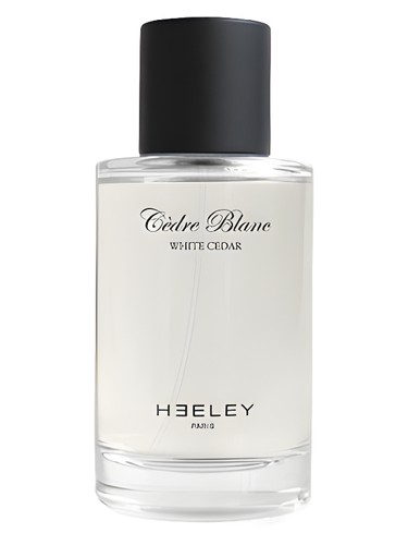 Cedre Blanc