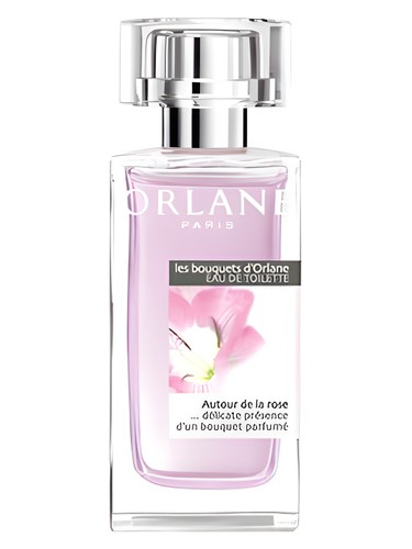 Autour de la Rose