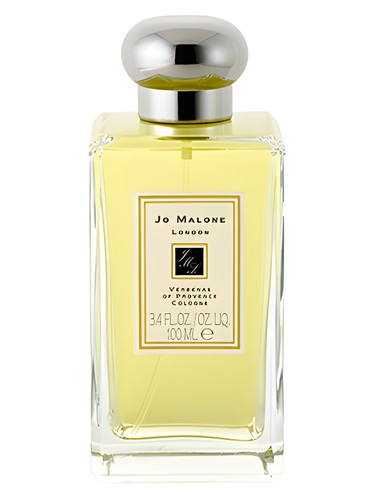 Verbenas of Provence